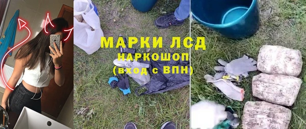 сатива Ступино