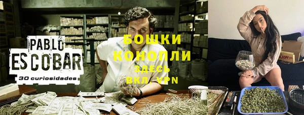 сатива Ступино
